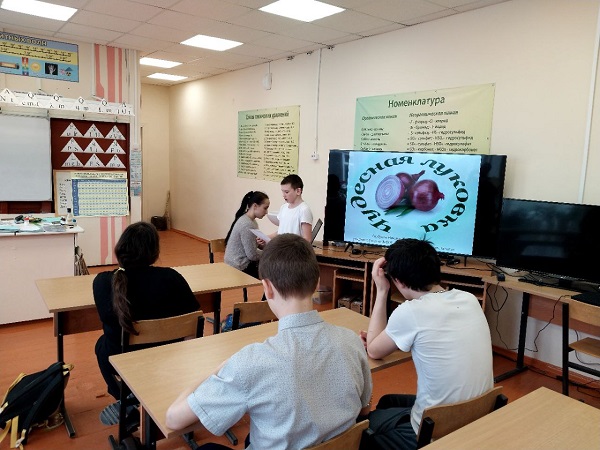 Выступление с районной конференции.